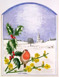 Das Rotkehlchen